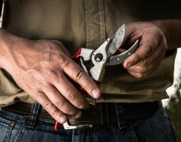 Felco 2 Budama Makası 21.5mm Sağ By-Pass