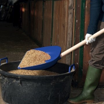 DiMartino 5001B Genel Amaçlı Kürek 39.5x42cm