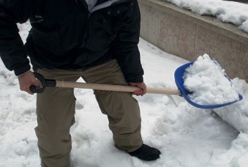 DiMartino 5001B Genel Amaçlı Kürek 39.5x42cm