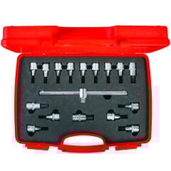 İzeltaş 1113 Lokmalı Allen Uç ve Star (Torx) Uç Takımı 17 Parça