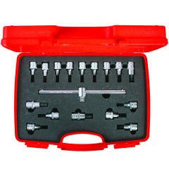 İzeltaş 1113 Lokmalı Allen Uç ve Star (Torx) Uç Takımı 17 Parça