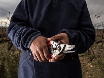 Felco 6 Budama Makası 19.5cm Sağ By-Pass