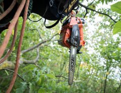 Echo DCS-2500T Akülü Profesyonel Budama Testeresi