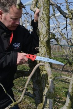 Felco 621 Budama Testeresi Kılıflı 24cm