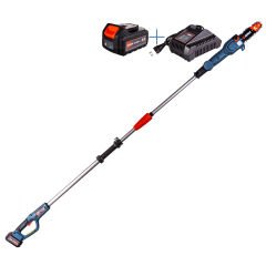 Senix CSPX2-M-EU Akülü Yüksek Dal Budama Testeresi 4.0 Ah 25 cm