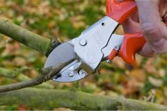 Löwe 2.107 Budama Makası Örs Ağız 21cm Kavisli sap