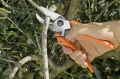 Löwe 7.107 Budama Makası Örs Ağız 21cm