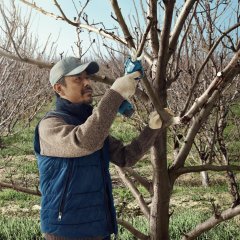 Bosch Professional Pro Pruner Bahçe Makası GAL 12V-40 + 2 x GBA 2,0Ah