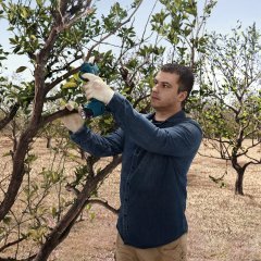 Bosch Professional Pro Pruner Bahçe Makası GAL 12V-40 + 2 x GBA 2,0Ah