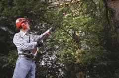 Oregon PS250 Şarjlı Yüksek Dal Budama Testeresi 6.0Ah + C750