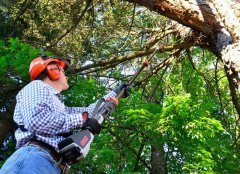 Oregon PS250 Şarjlı Yüksek Dal Budama Testeresi 6.0Ah + C750