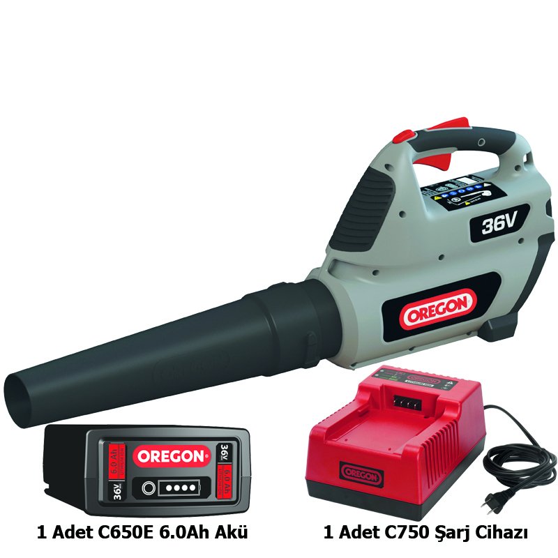Oregon BL300 Şarjlı Üfleme Makinası 36V 6.0Ah + C750