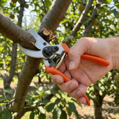 Stilson PS803 Budama Bağ Makası 215mm