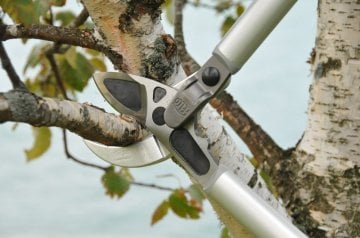 Felco 231 Dal Budama Makası 80cm Alüminyum Çift El