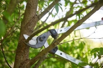 Felco 211-60 Dal Budama Makası 60cm Alüminyum Çift El