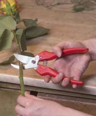 Felco 300 Budama Makası ve Felco 600 Budama Testeresi