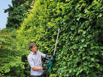 Bosch AHS 65-34 Çit Kesme Makinası Elektrikli 700W 65cm + Bakım Spreyi