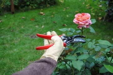 Felco 100 Gül ve Çiçek Kesme Makası 21cm Sağ-Sol By-Pass