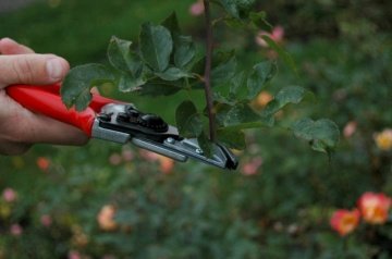 Felco 100 Gül ve Çiçek Kesme Makası 21cm Sağ-Sol By-Pass