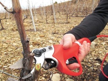 Felco 801 Şarjlı Elektronik Budama Makası 2.5Ah