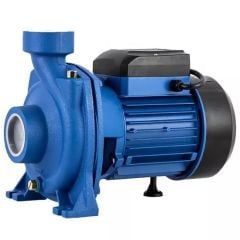 Max-Extra CPM158 Elektrikli Su Motoru 2Hp 2''
