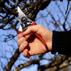 Felco 8 Budama Makası + Bere