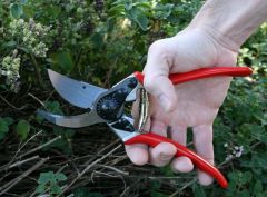 Felco 11 Budama Makası + Bere