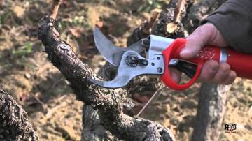 Felco 820 Şarjlı Elektronik Budama Makası