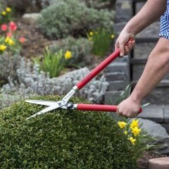 Berger 2520 Kalın Dal Budama-Koyun Kırpma Makası 60cm