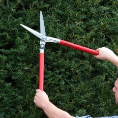 Berger 2520 Kalın Dal Budama-Koyun Kırpma Makası 60cm