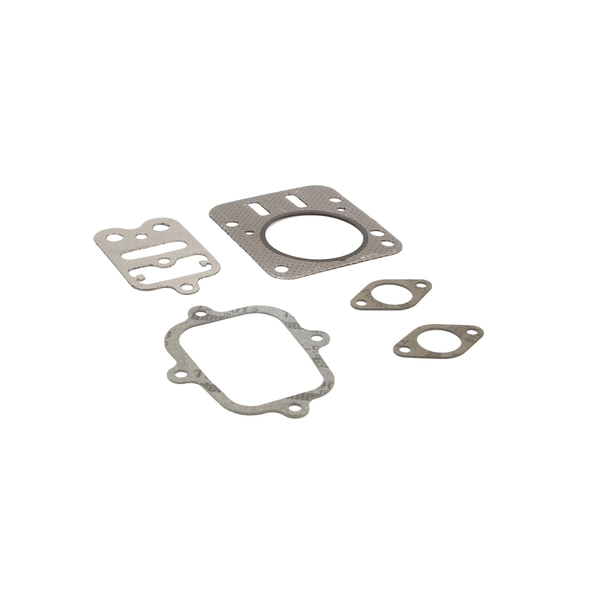 Briggs & Stratton Conta Takımı B555636