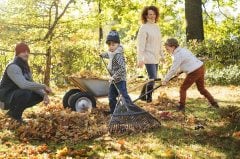 Fiskars Solid 135090 Çim ve Yaprak Tırmığı 176cm