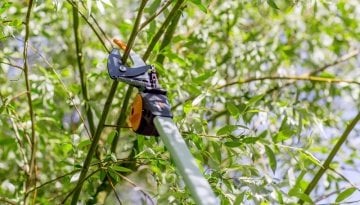 Fiskars PowerGear X UPX86 Yüksek Dal Budama Makası Teleskopik 2400-4100mm