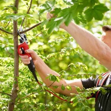 Felco 811B Şarjlı Elektronik Budama Makası 5.4Ah